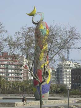 DSCN5981