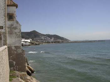 DSCN6036