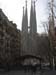 DSCN0409