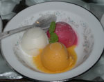 Sorbet