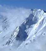 Alta