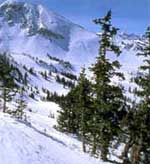 Alta