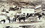 Alta