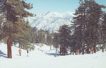 Mt.Waterman
