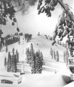 Sugar Bowl