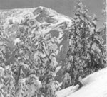 Sugar Bowl