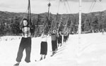 Big Bear Swing Lift