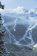 Telluride